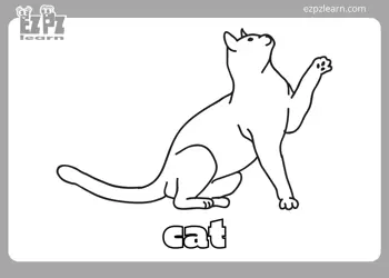 Cat Coloring Page